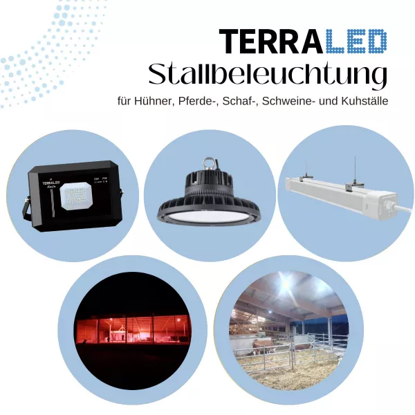 TerraLED Stallbeleuchtungskatalog