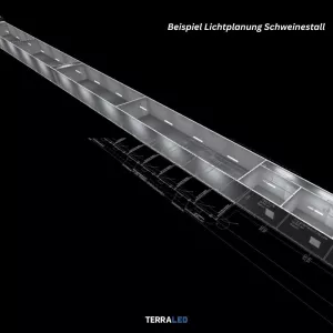 LED Feuchtraumleuchten 50 Watt Terraled Lichtplanung