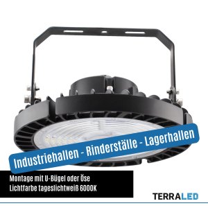 LED Hallenstrahler 240 Watt Quality dimmbar ammoniakbeständig